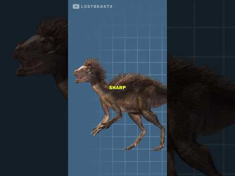 The Biggest Dinosaur Myth